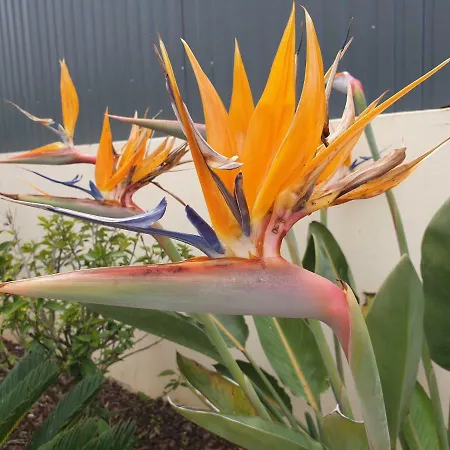 Oura V4 Marisa With Private Pool 빌라 *