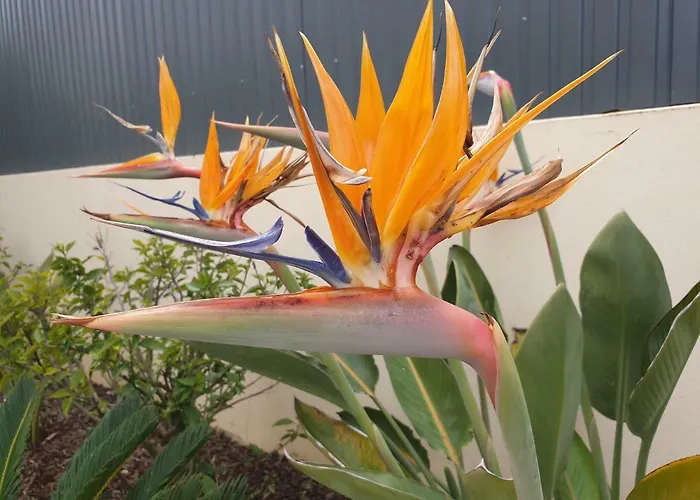 Oura V4 Marisa With Private Pool فيلة *