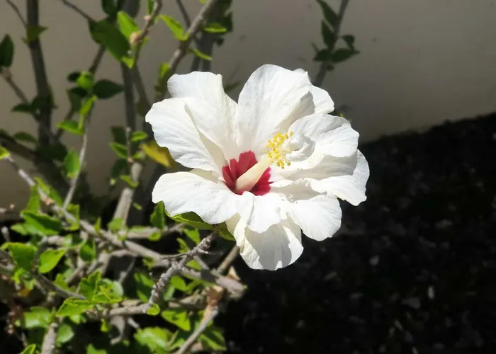 Oura V4 Marisa With Private Pool * البوفيرا